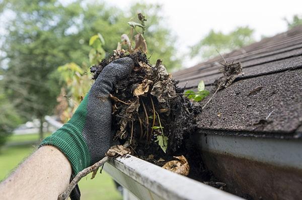 gutter cleaning may require tools such as a ladder, gloves, and a scoop to remove debris